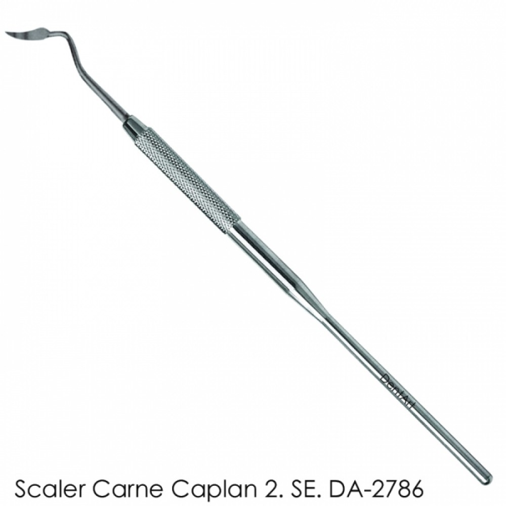 Scaler Crane Caplan